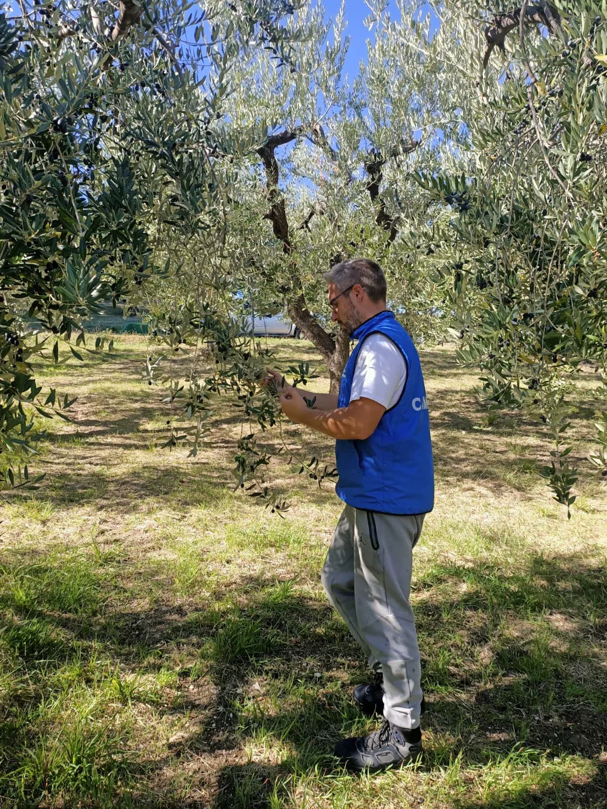 Il fondatore nel campo