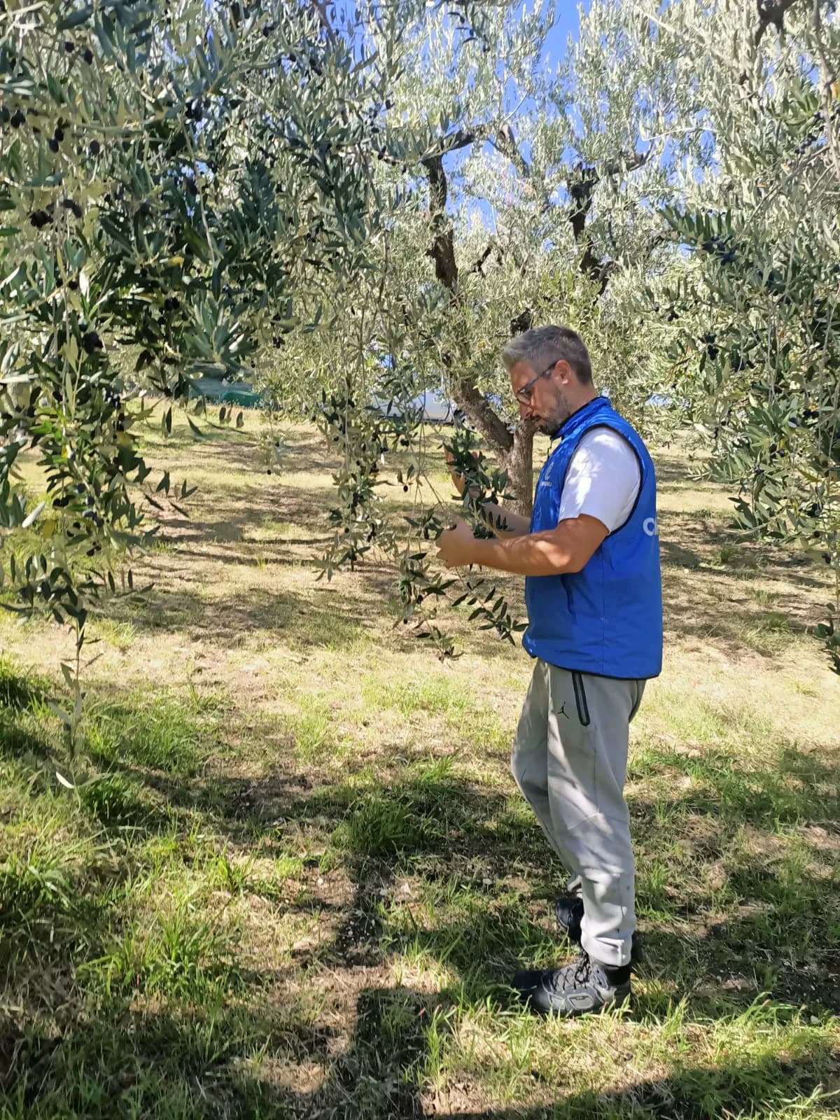 Il fondatore durante la raccolta
