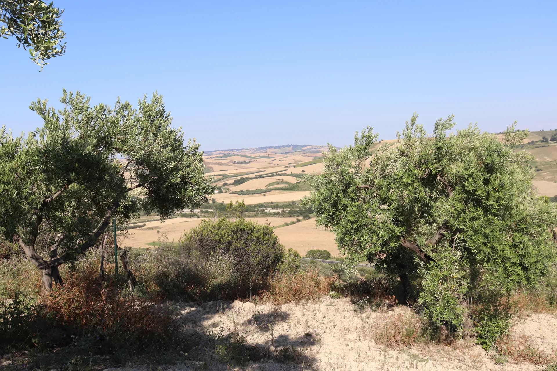 Colline abruzzesi