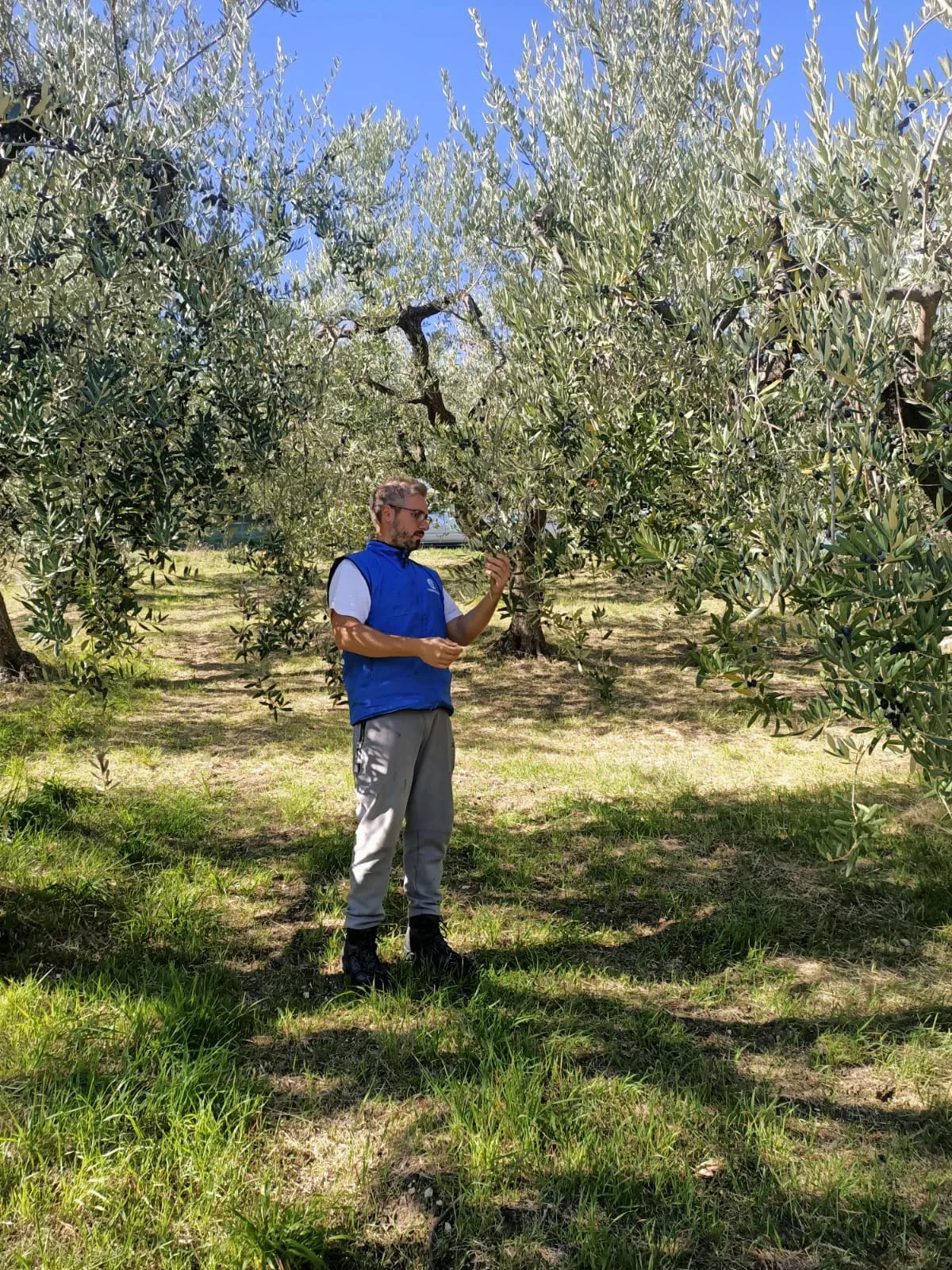 Il fondatore nel suo uliveto